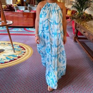 Blue & White Maxi Dress (backless)